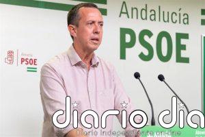 El PSOE de Almería acusa al PP de usar la rebaja del IRPF agrario para "generar confrontación política"