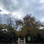 El tiempo en Extremadura para hoy lunes, 4 de mayo de 2026