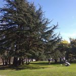 El tiempo en Extremadura para hoy viernes, 15 de mayo de 2026