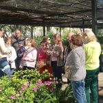 El vivero municipal de Jaén se abre a las personas mayores con la iniciativa 'Semillas de experiencias'