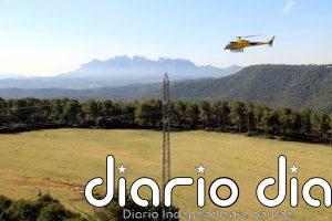 Endesa eleva a 38 millones la inversión para proteger bosques con líneas eléctricas en Catalunya