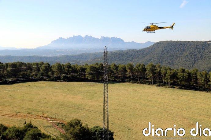 Endesa eleva a 38 millones la inversión para proteger bosques con líneas eléctricas en Catalunya