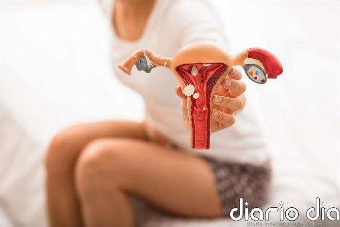 Endometriosis y embarazo: el hallazgo que reabre el debate sobre los riesgos ocultos en el desarrollo del bebé