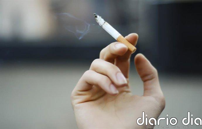 Epidemiólogos consideran "clave" aprobar las normativas pendientes relativas a la producción y el consumo de tabaco