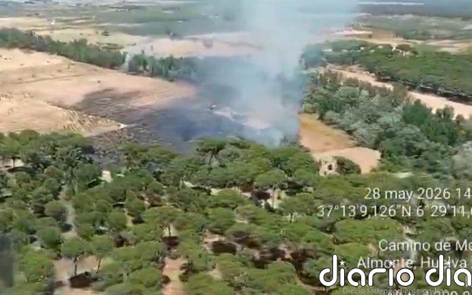 Estabilizado el incendio agrícola y forestal en el paraje La Pañuela de Almonte (Huelva)