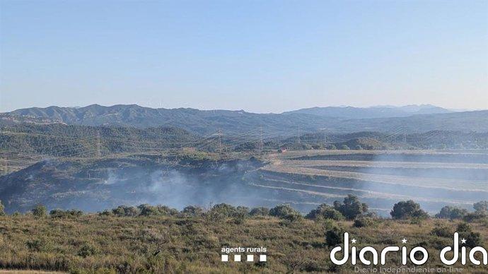 Estabilizado el incendio de vegetación agrícola en Vinebre (Tarragona) que afecta 12 hectáreas