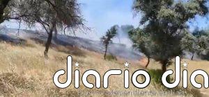 Estabilizado un incendio forestal en Andújar (Jaén) que movilizó a un helicóptero