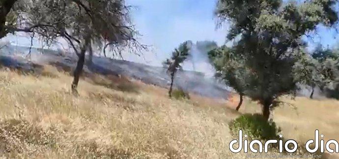 Estabilizado un incendio forestal en Andújar (Jaén) que movilizó a un helicóptero