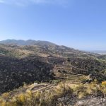 Extinguido el incendio declarado este pasado jueves en un paraje de Canillas de Aceituno (Málaga)