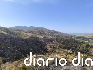 Extinguido el incendio declarado este pasado jueves en un paraje de Canillas de Aceituno (Málaga)