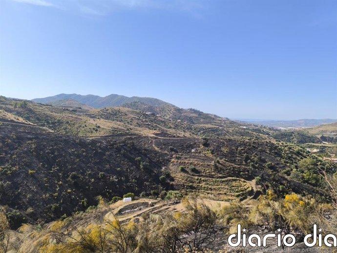 Extinguido el incendio declarado este pasado jueves en un paraje de Canillas de Aceituno (Málaga)