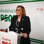 Faneca destaca la reforma del copago que "garantiza una sanidad más justa, progresiva y sin barreras económicas"