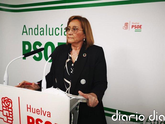 Faneca destaca la reforma del copago que "garantiza una sanidad más justa, progresiva y sin barreras económicas"