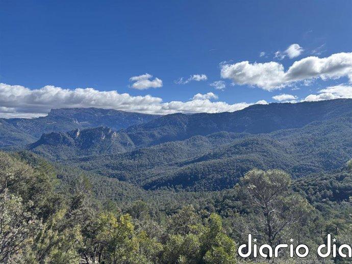 Fundación Biodiversidad destina dos millones a gestión sostenible de madera y agua en sierras de Granada, Almería y Jaén