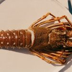 Grupo Dani García desembarca en junio en Ibiza con Leña y Lobito de Mar de la mano de Palladium Hotel Group