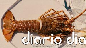 Grupo Dani García desembarca en junio en Ibiza con Leña y Lobito de Mar de la mano de Palladium Hotel Group