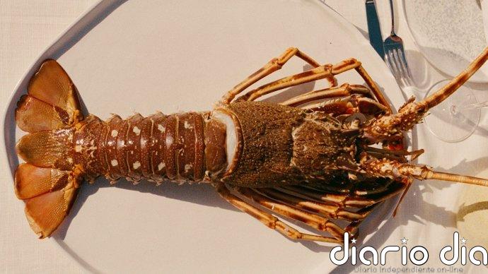 Grupo Dani García desembarca en junio en Ibiza con Leña y Lobito de Mar de la mano de Palladium Hotel Group
