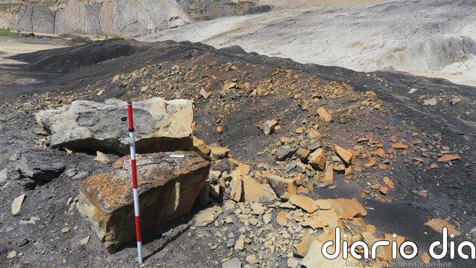 Hallazgo único en Ariño (Teruel): Bivalvos fósiles con nácar iridiscente de 110 millones de años