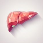 Hígado graso y riesgo cardíaco: el preocupante vínculo con la placa arterial inestable