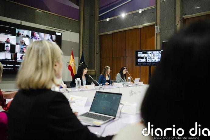 Igualdad lleva al comité de crisis un instrumento de seguimiento de las recomendaciones tras los asesinatos machistas
