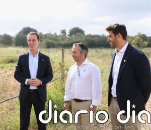 Inician la licitación de dos rotondas que eliminarán puntos peligrosos en la carretera de Porto Cristo por 2,3 millones