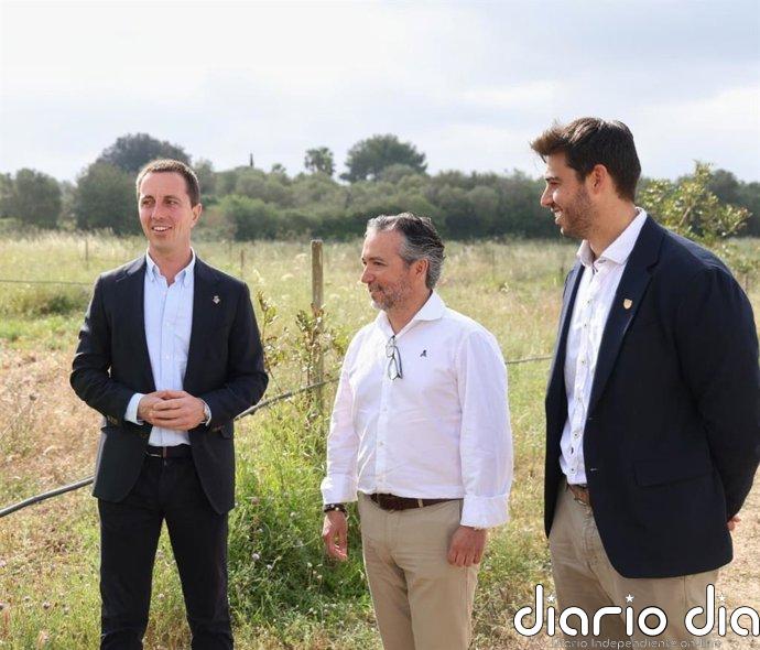 Inician la licitación de dos rotondas que eliminarán puntos peligrosos en la carretera de Porto Cristo por 2,3 millones