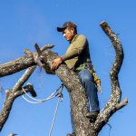 Inmigrantes concentran más temporalidad, empleo inestable y horarios atípicos, según Fedea y BBVA Research