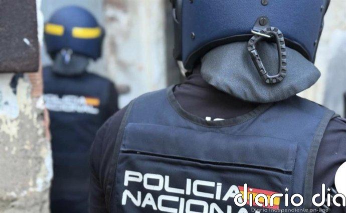 Intervenidas tres toneladas de plantas de marihuana a una red en Almería con diez detenidos y tres armas de fuego