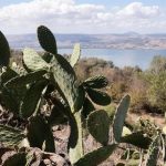 Israel suspende las clases en el norte tras la intensificación de los ataques de Hezbolá