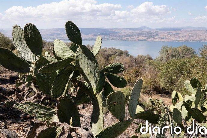 Israel suspende las clases en el norte tras la intensificación de los ataques de Hezbolá