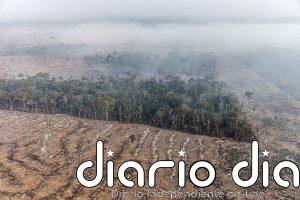 La Amazonia está en riesgo de convertirse en una sabana seca