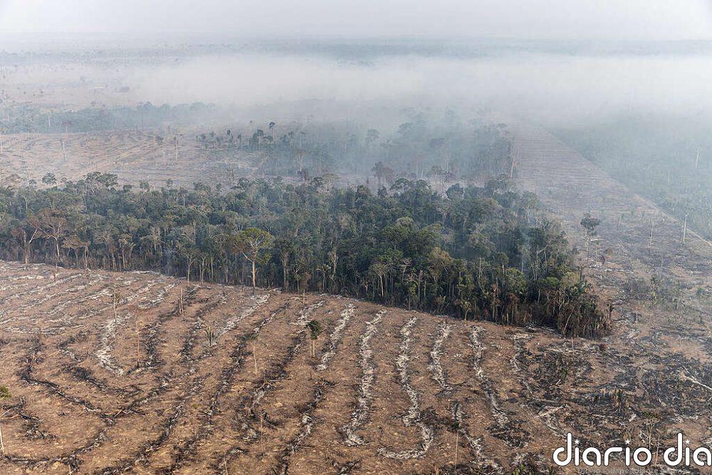 La Amazonia está en riesgo de convertirse en una sabana seca