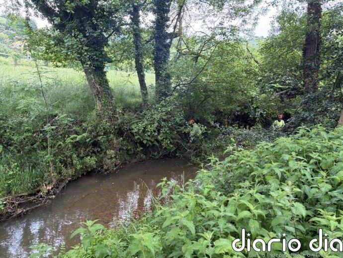 La CHC actúa en el río Pinzales, el arroyo Veranes y el río Piles para prevenir desbordamientos