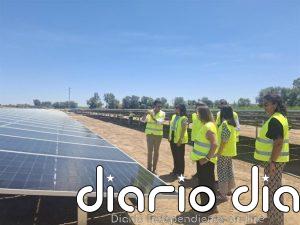 La CHG ultima la instalación del proyecto fotovoltaico de Palma del Río (Córdoba) con inversión de 8,7 millones de euros