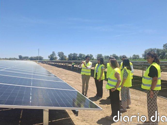 La CHG ultima la instalación del proyecto fotovoltaico de Palma del Río (Córdoba) con inversión de 8,7 millones de euros