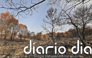 La Diputación de Alicante subraya que aumenta hasta seis millones la inversión para prevenir incendios forestales