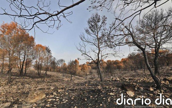 La Diputación de Alicante subraya que aumenta hasta seis millones la inversión para prevenir incendios forestales