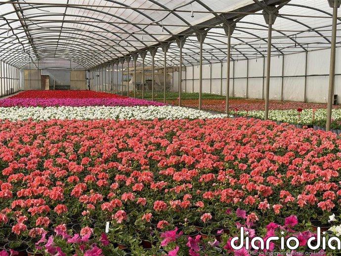 La DPH embellecerá los pueblos del Alto Aragón con más de 80.000 plantas