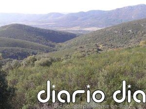 La Eurocámara pide evaluar las repercusiones en el Parque Nacional de Cabañeros de la prohibición de la caza