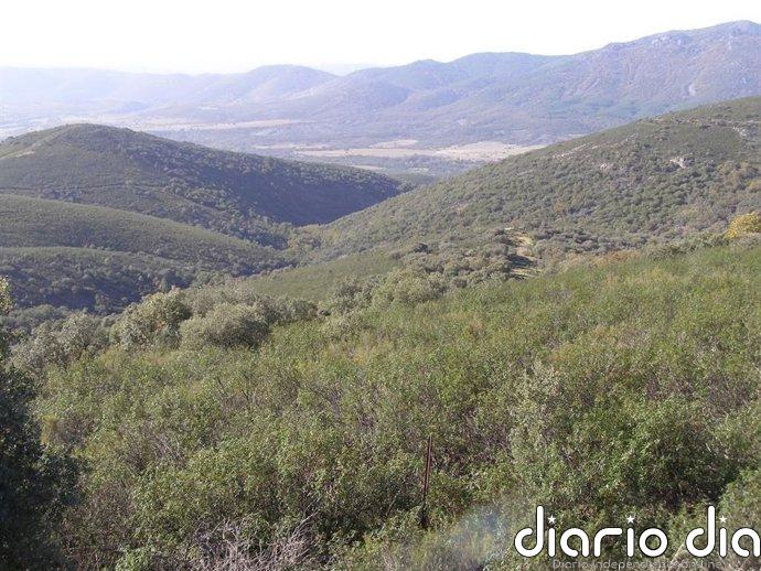 La Eurocámara pide evaluar las repercusiones en el Parque Nacional de Cabañeros de la prohibición de la caza