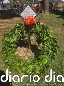 La Nova Muixeranga de Catarroja homenajea a las víctimas de la dana: "Nos robaron a nuestros familiares"