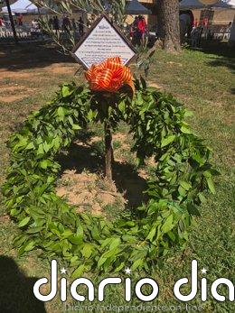 La Nova Muixeranga de Catarroja homenajea a las víctimas de la dana: "Nos robaron a nuestros familiares"