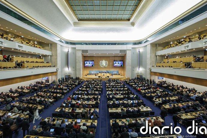 La OMS reconoce a cuatro líderes internacionales con el Premio a la Salud Global