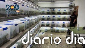 La Policía desarticula una organización de cultivo y distribución de marihuana a gran escala en Valencia