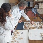 La UJA impulsa un estudio sobre las necrópolis islámicas de Marroquíes Bajos que "da voz" a la sociedad andalusí