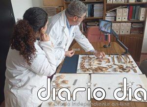 La UJA impulsa un estudio sobre las necrópolis islámicas de Marroquíes Bajos que "da voz" a la sociedad andalusí