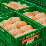 Las compras de Mercadona a proveedores canarios superan los 810 millones en 2025