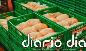 Las compras de Mercadona a proveedores canarios superan los 810 millones en 2025