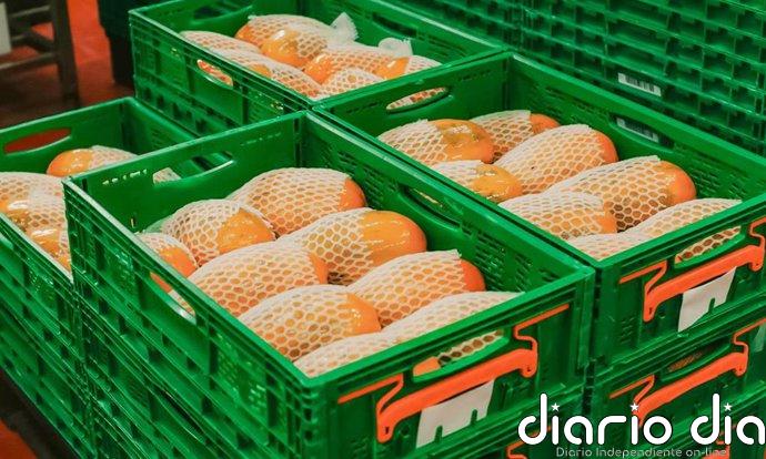 Las compras de Mercadona a proveedores canarios superan los 810 millones en 2025