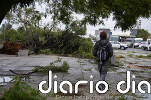 Las tormentas dejarán mañana chubascos fuertes y granizo en la mitad norte y pondrán en aviso a ocho comunidades